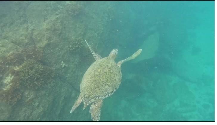 Coiba Island Tour