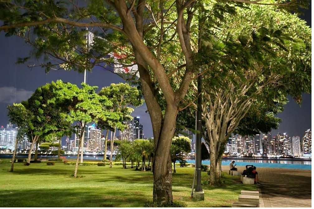 Panama City skyline at night from the Cinta Costera waterfront park