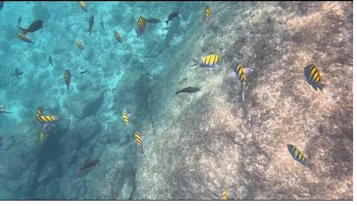 Coiba Island Tour