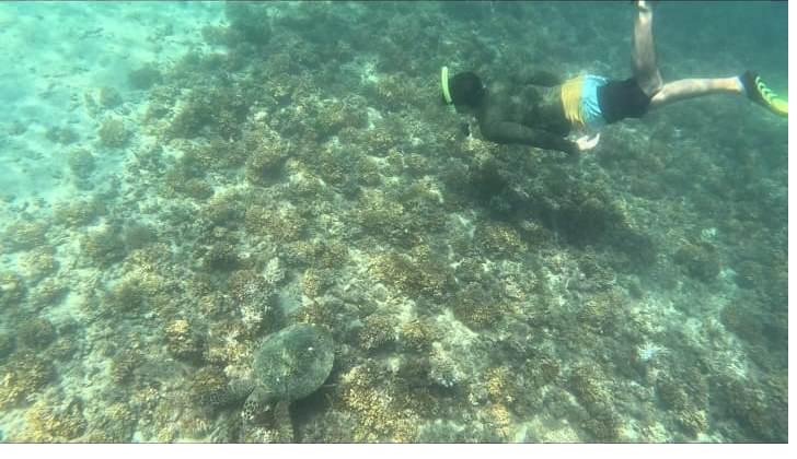 Snorkeler with mask and fins on a Coiba tour in Panama